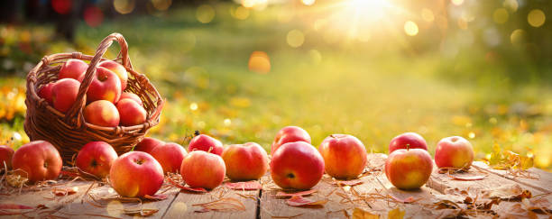 Can Apples Lower Blood Pressure