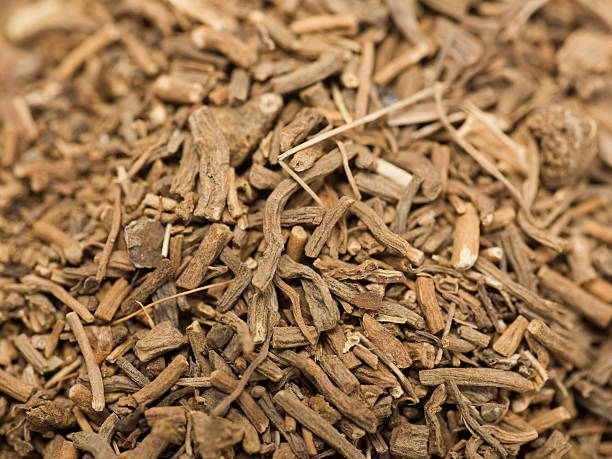 Use of Valerian Root to Lower Blood Pressure